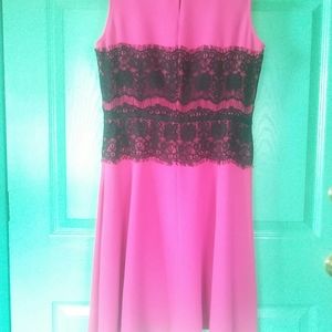 Loft Purple Dress with Size 6